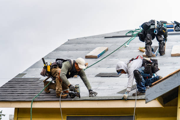 Professional Roofing technician working in Martin City, MT